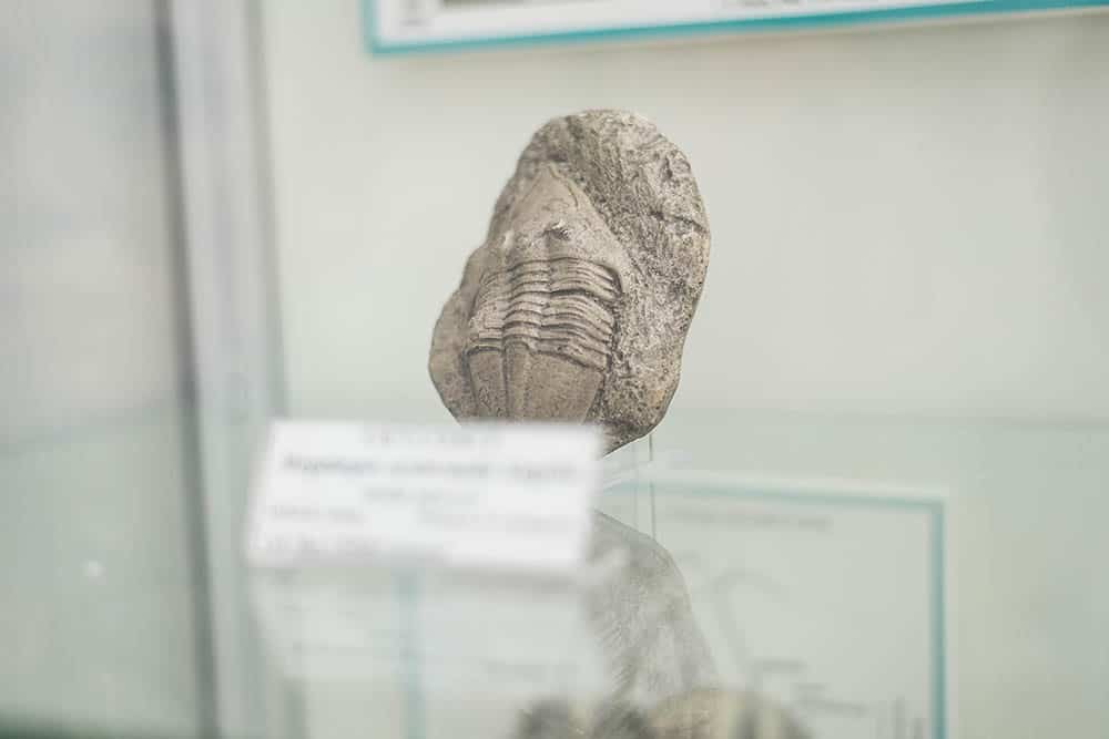 dziecięca mapa warszawy - zwiedzamy wystawę w muzeum geologicznym