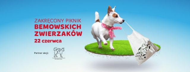 Bemowo zaprasza na zakręcony piknik bemowskich zwierzaków