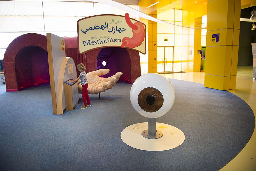 Muzeum dla dzieci w Ammanie - model budowy oka