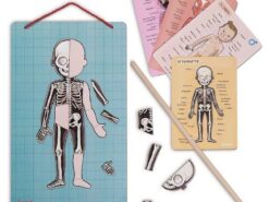 Janod - ciało człowieka - układanka magnetyczna