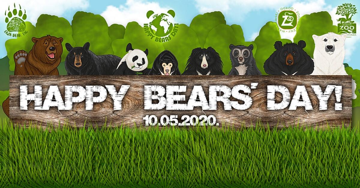 Bear day. Happy Bears Стефано Гуитер. Bizzy Bear: DIY Day. “Zoo TV” 2012 New year.