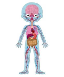 Janod - puzzle edukacyjne - ciało człowieka