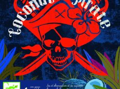 Djeco - Gra taktyczna - Kokosowy Pirat