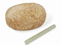 Buki - jajko dinozaura