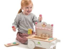 Tender Leaf Toys - drewniany sklepik z lodami