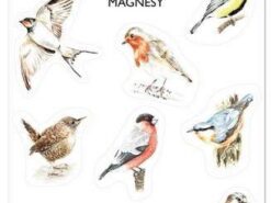 Mama Maluje - elastyczne magnesy - ptaki