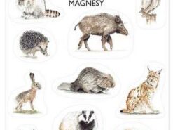 Mama Maluje - magnesy - zwierzęta leśne