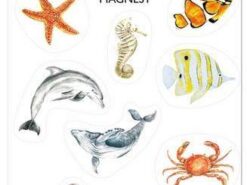 Mama Maluje - magnesy - zwierzęta mórz i oceanów