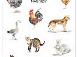 Mama Maluje - magnesy - zwierzęta wiejskie