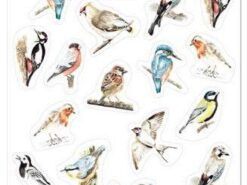 Mama Maluje - naklejki - ptaki