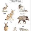 Mama Maluje - naklejki - zwierzęta leśne