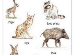 Mama Maluje - naklejki - zwierzęta leśne