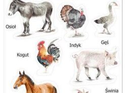 Mama Maluje - naklejki - zwierzęta wiejskie