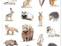 Mama Maluje - tatuaże zmywalne - zwierzęta leśne