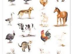 Mama Maluje - tatuaże zmywalne - zwierzęta wiejskie