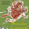 Ale historia... Mieszko, ty wikingu!