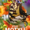 Atlas motyli - 250 gatunków w Polsce