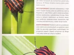 Atlas owadów - 250 gatunków w Polsce