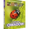 Atlas owadów - 250 gatunków w Polsce