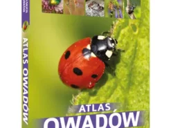 Atlas owadów - 250 gatunków w Polsce