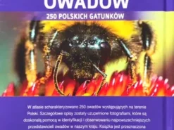Atlas owadów - 250 gatunków w Polsce
