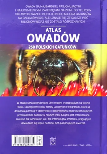 Atlas owadów - 250 gatunków w Polsce