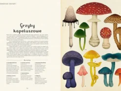 Fungarium - wielkoformatowy album o grzybach