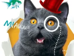 Kapitan Nauka - quiz 160 pytań - koty