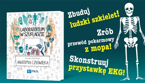 Laboratorium w szufladzie. Anatomia człowieka - Adamaszek