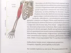 Laboratorium w szufladzie. Anatomia człowieka - Adamaszek