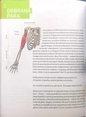 Laboratorium w szufladzie. Anatomia człowieka - Adamaszek