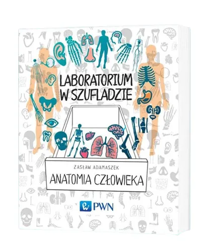 Laboratorium w szufladzie. Anatomia człowieka - Adamaszek