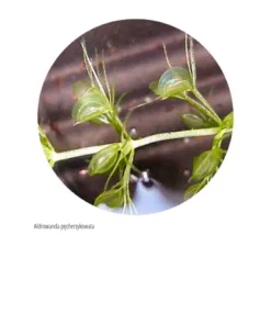 Laboratorium w szufladzie. Biologia - Stanisław Łoboziak