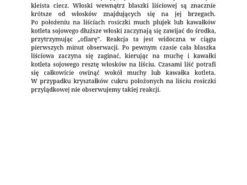 Laboratorium w szufladzie. Biologia - Stanisław Łoboziak