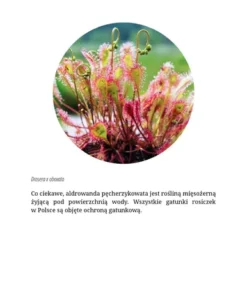 Laboratorium w szufladzie. Biologia - Stanisław Łoboziak