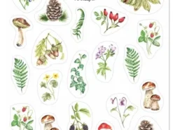 Mama Maluje - naklejki - leśne botaniczne