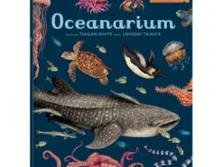 Oceanarium - wielkoformatowy album głębi oceanu