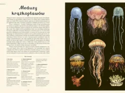 Oceanarium - wielkoformatowy album głębi oceanu