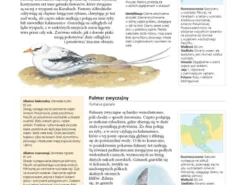 Encyklopedia ptaków świata - David Alderton
