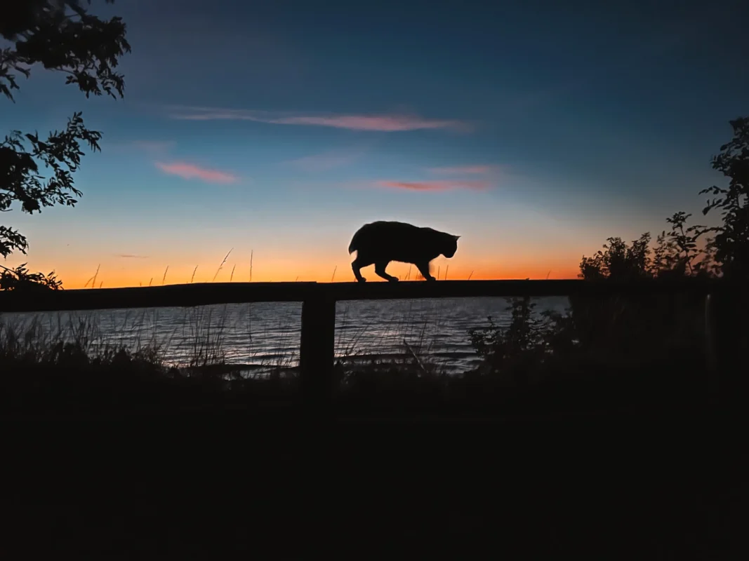 Villa Hoff Trzęsacz